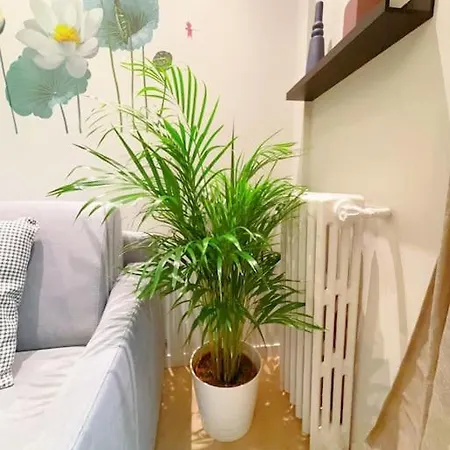 Apartment Close To Eiffel Tower *